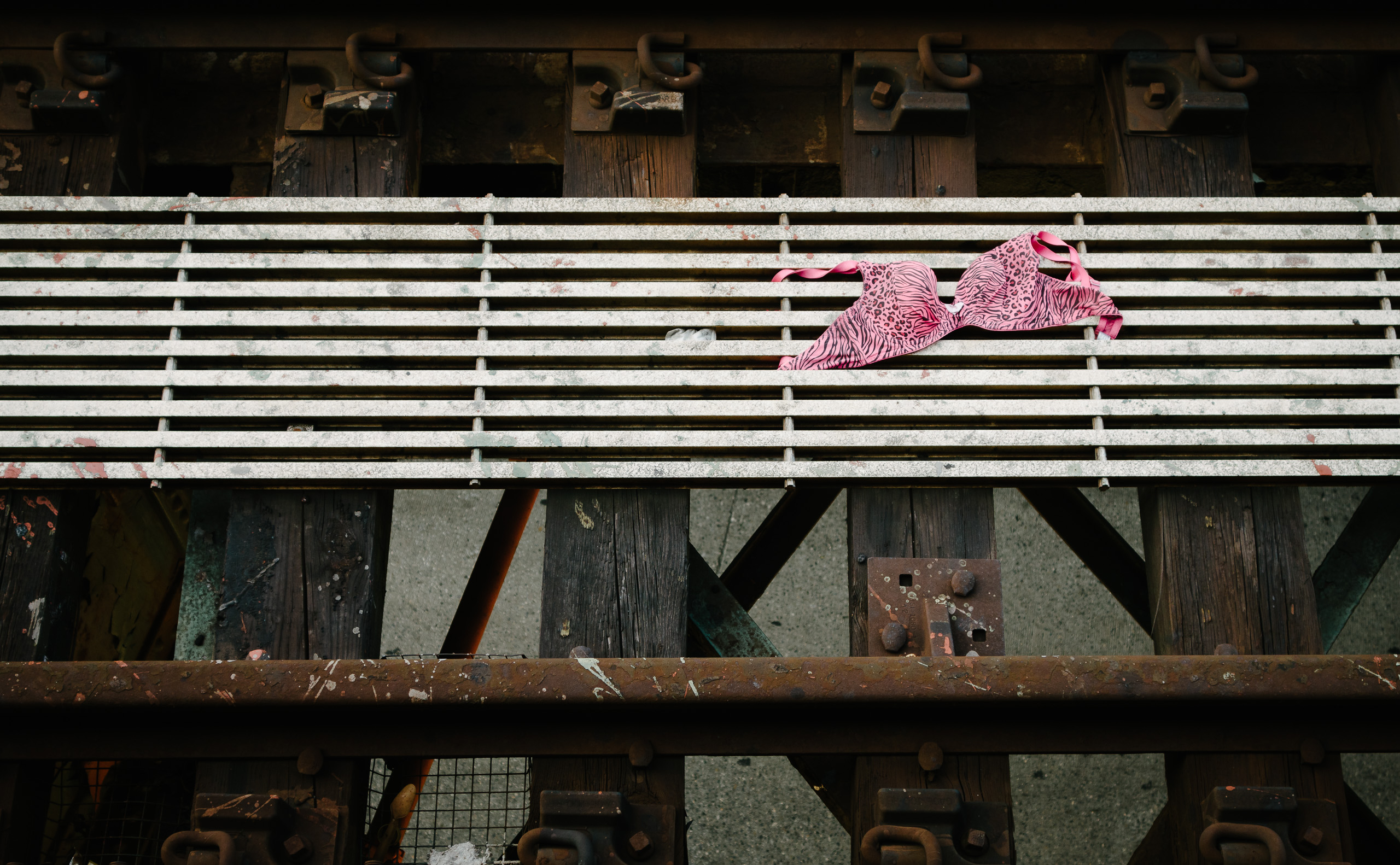 A pink leopard print bra or bikini top on train tracks