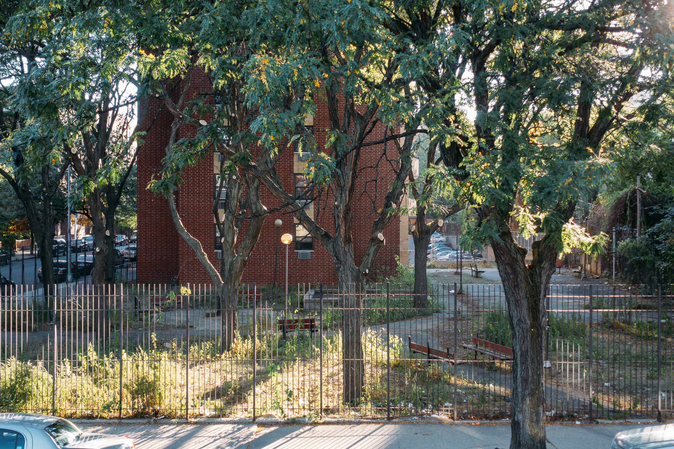 The &quot;park&quot; across the street is bright and familiar.