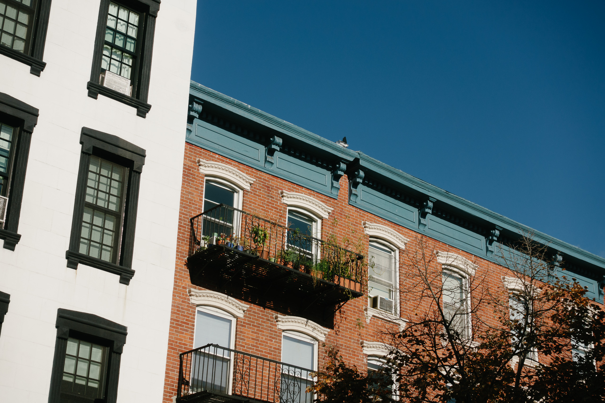 My old Bedford Penthouse balcony holds a multitude of plant life
