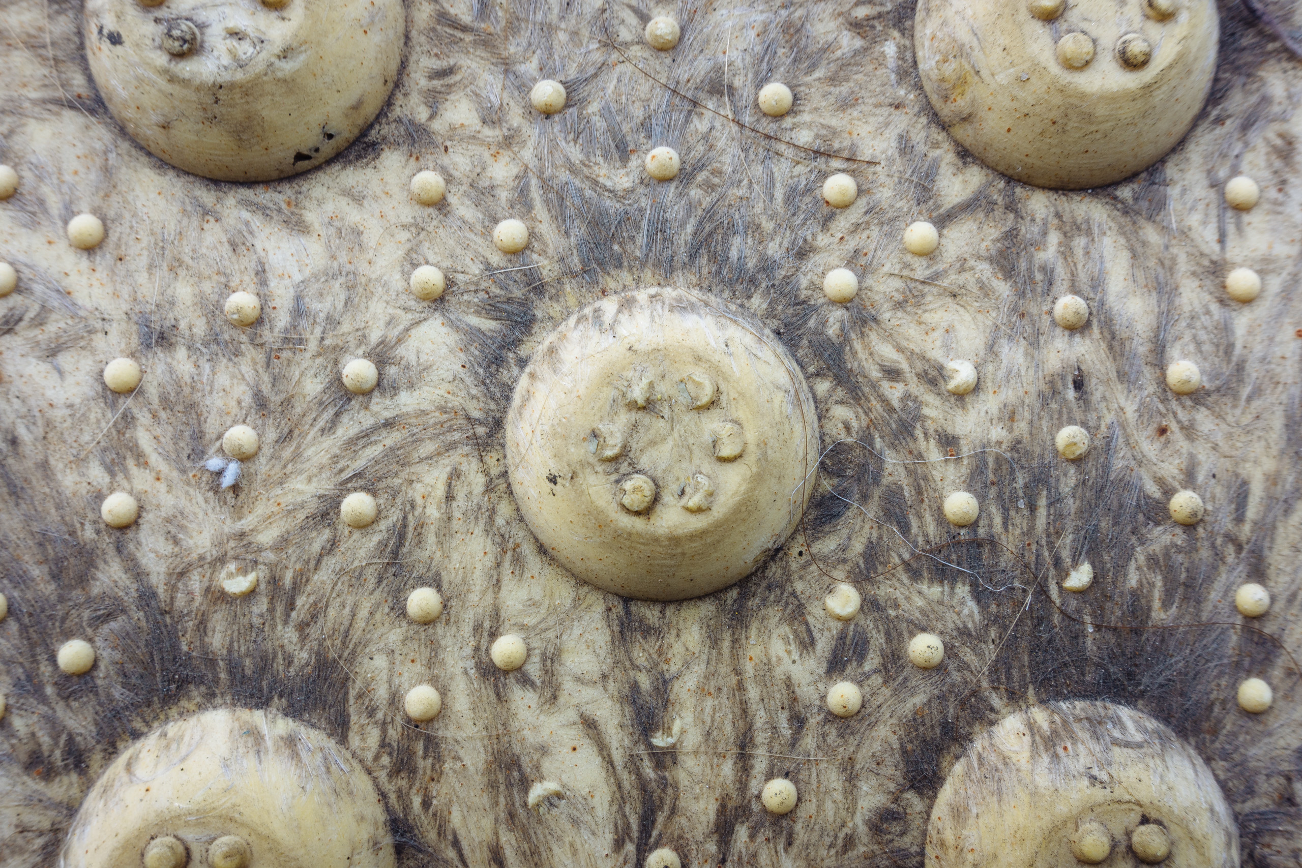 dots for tread on safety mat near train entrance