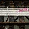 A pink leopard print bra or bikini top on train tracks