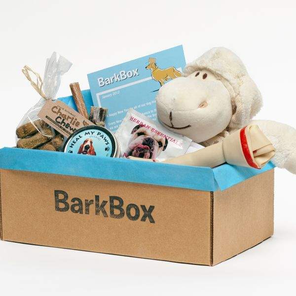 barkbox product pet treats dog toys