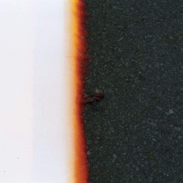 film leader dead baby bird pittsburgh zoo