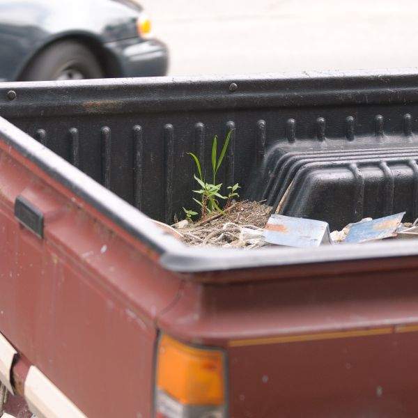 red pickup truck plant growing in bed pittsburgh