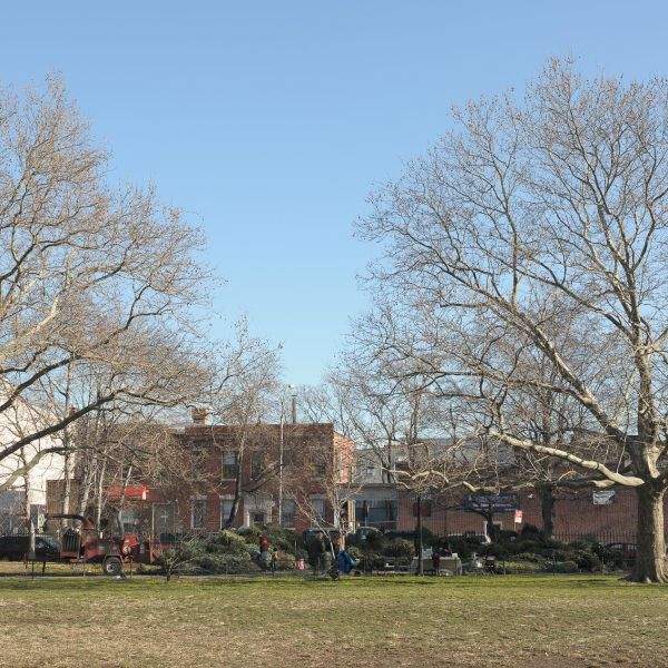 trees mccarren park wood chipper christmas