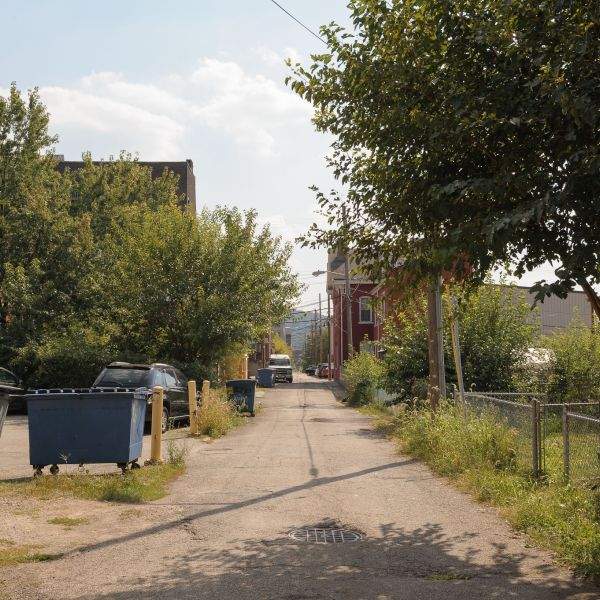 urban alleyway trees