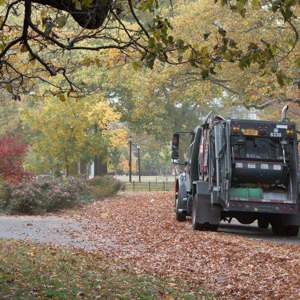 fall in mccarren park williamsburg