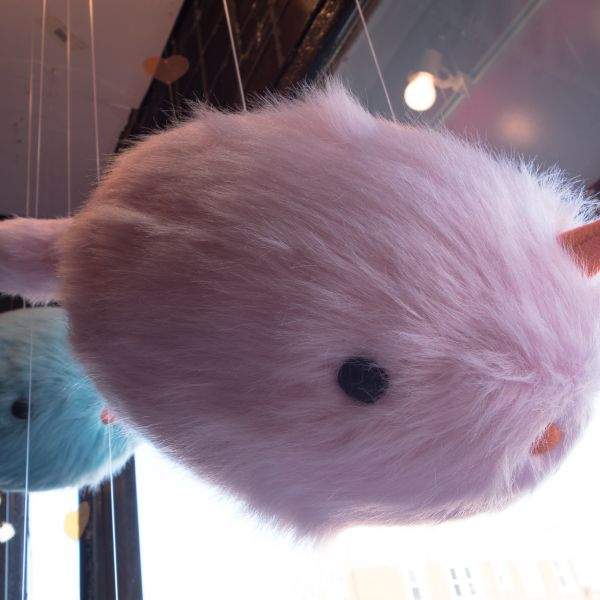 Two suspended, stuffed, fluffy narwhals