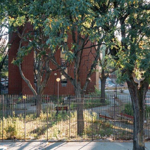 The &quot;park&quot; across the street is bright and familiar.