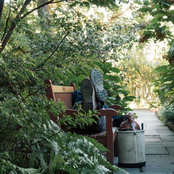 Sleeper in the Garden