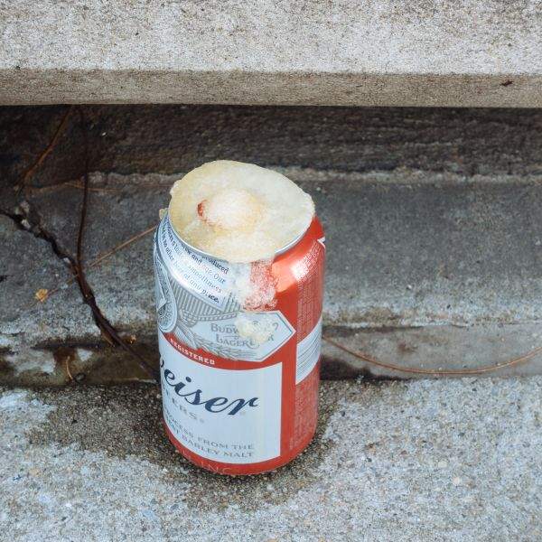 Frozen-over can of Budweiser at base of Berry St. stoop (detail)