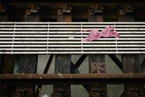 A pink leopard print bra or bikini top on train tracks