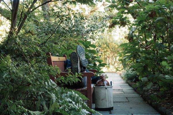 Sleeper in the Garden