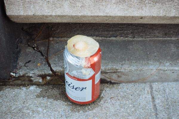 Frozen-over can of Budweiser at base of Berry St. stoop (detail)