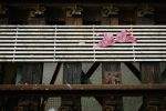 A pink leopard print bra or bikini top on train tracks