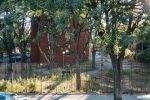 The "park" across the street is bright and familiar. The "park" across the street is bright and familiar.