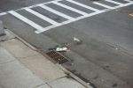 A seagull contemplates consumption of Corn Flakes scattered in the street A seagull contemplates consumption of Corn Flakes scattered in the street