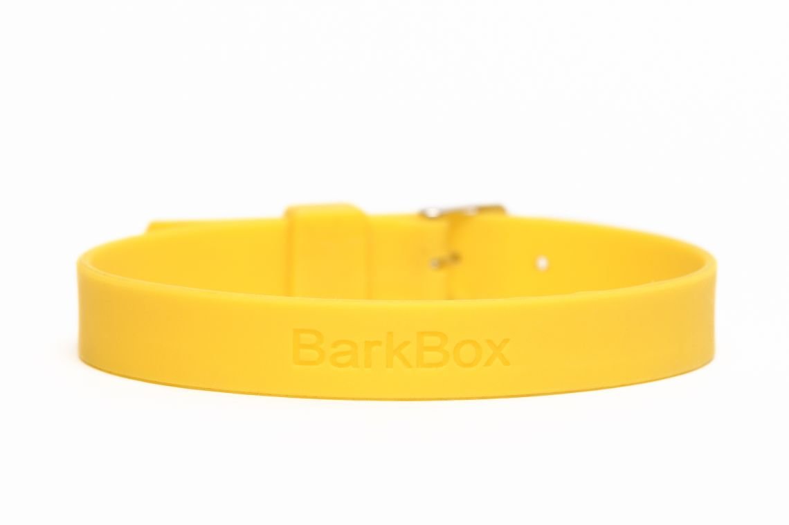 dog collar yellow