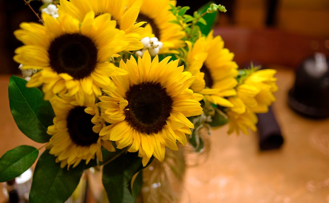 girasole italian restaurant pittsburgh pa sunflowers