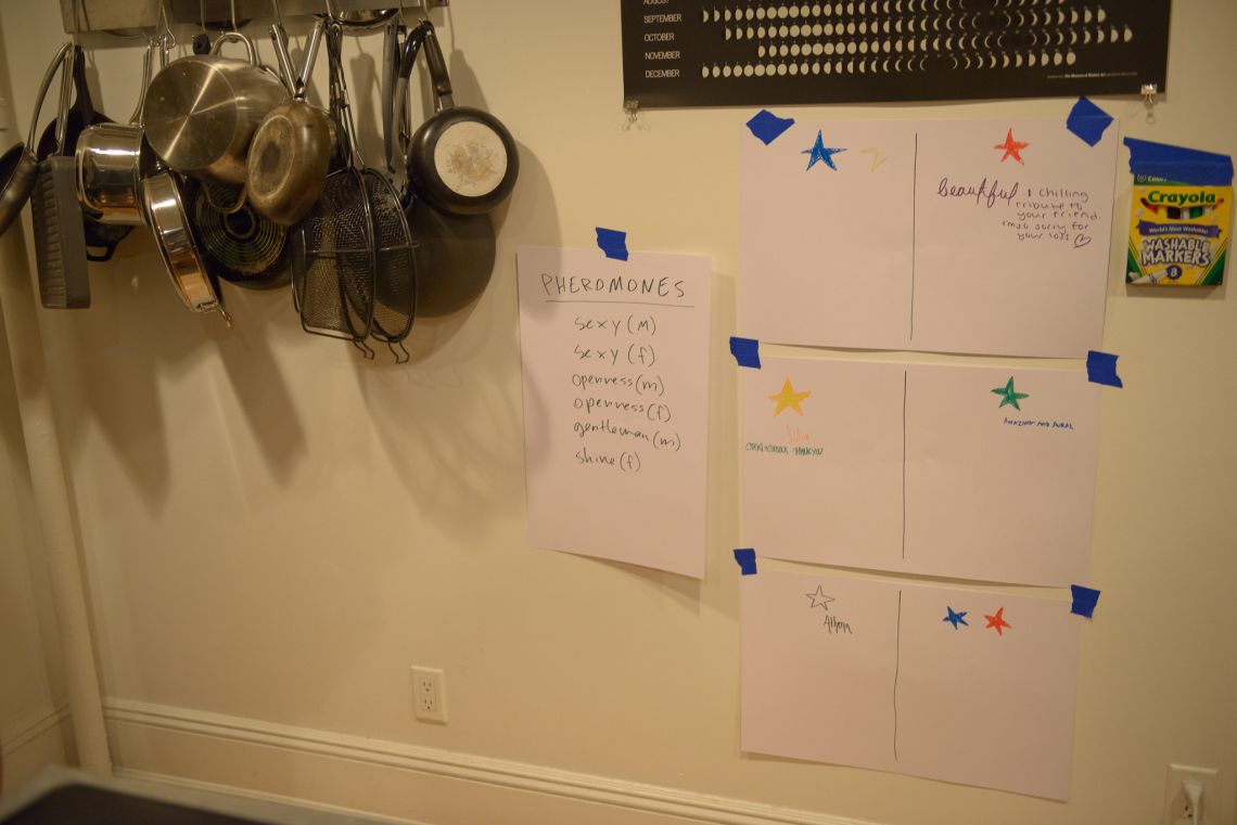 A wall of guests' interpretations of the effects of the pheromones they wore and experienced