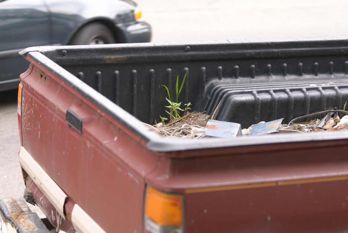 red pickup truck plant growing in bed pittsburgh