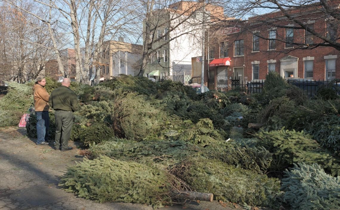 trees mccarren park wood chipper christmas