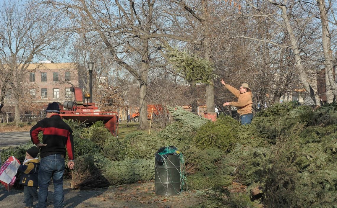 trees mccarren park wood chipper christmas
