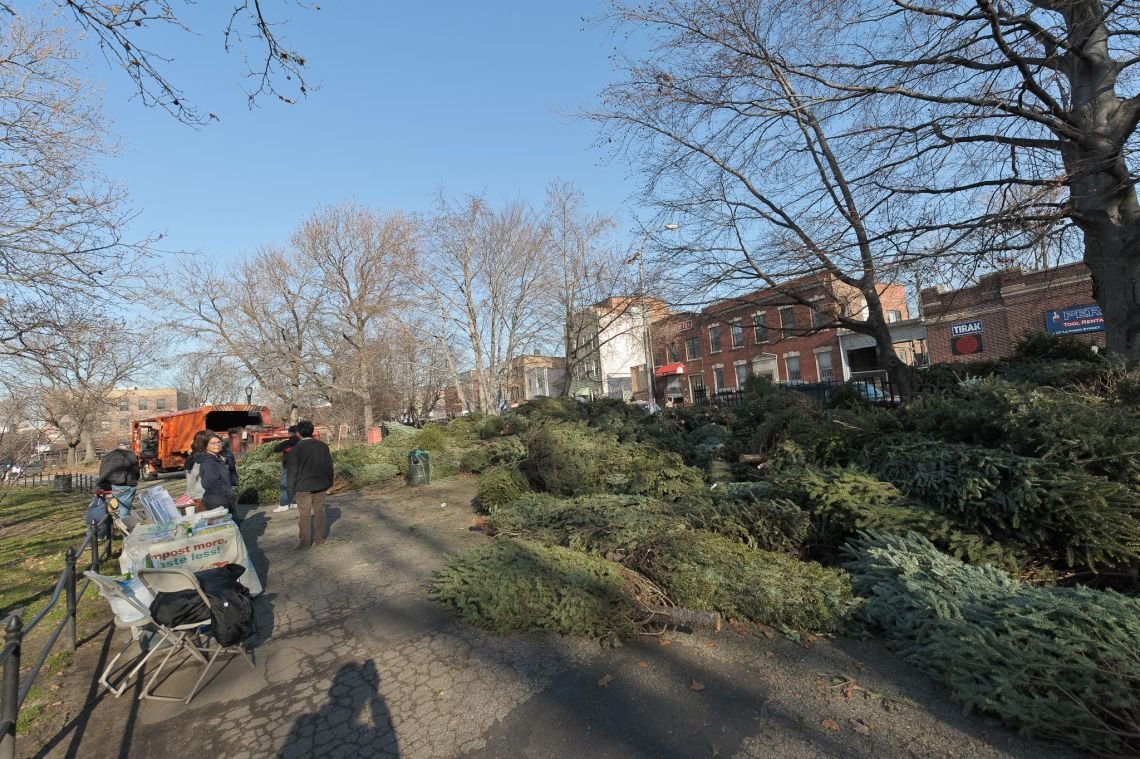 trees mccarren park wood chipper christmas
