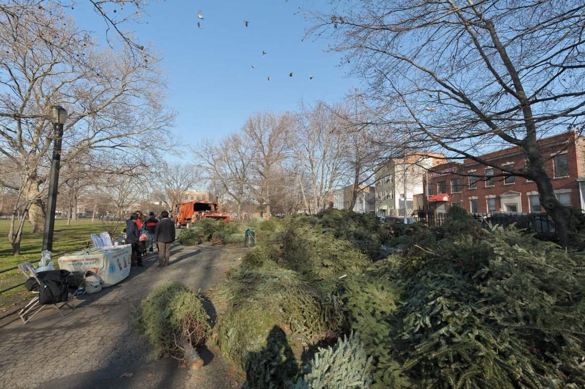 trees mccarren park wood chipper christmas