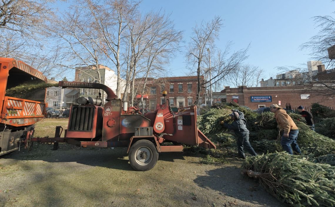 trees mccarren park wood chipper christmas