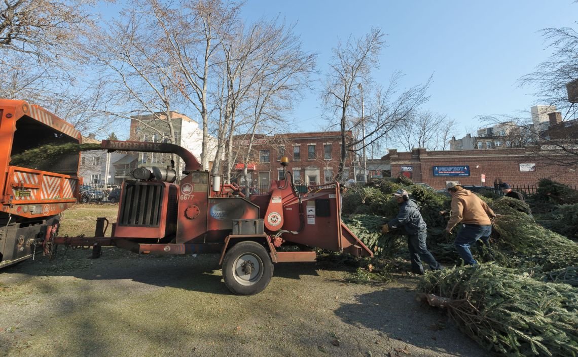 trees mccarren park wood chipper christmas