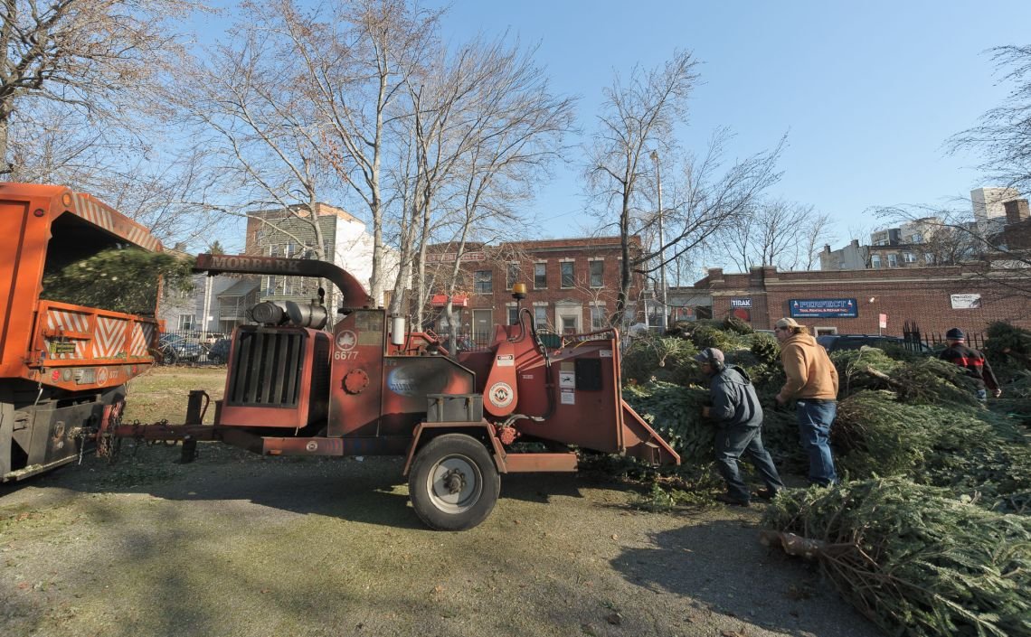 trees mccarren park wood chipper christmas