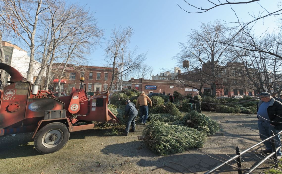 trees mccarren park wood chipper christmas