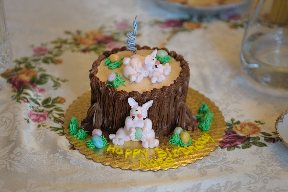 birthday cake of tree stump and rabbits