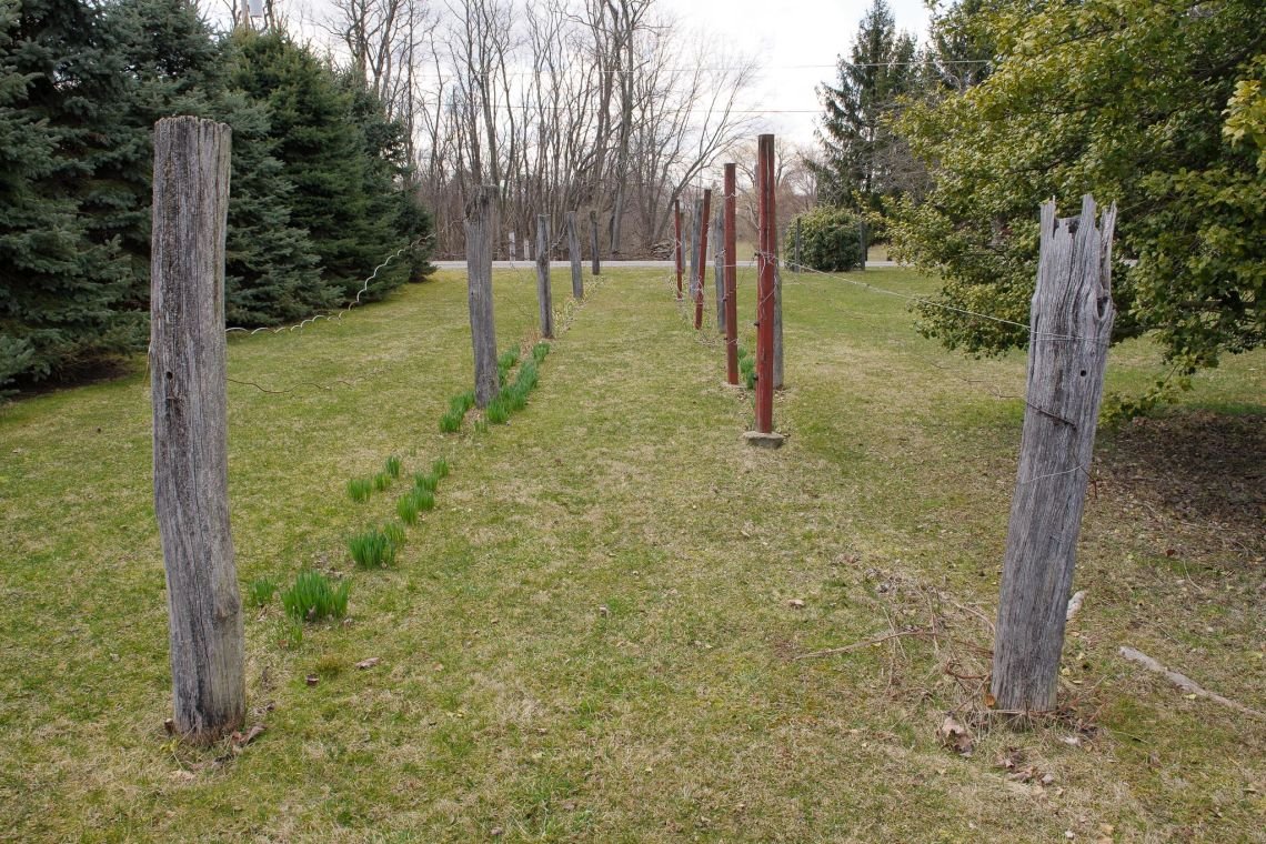 country living wexford pennsylvania elderly