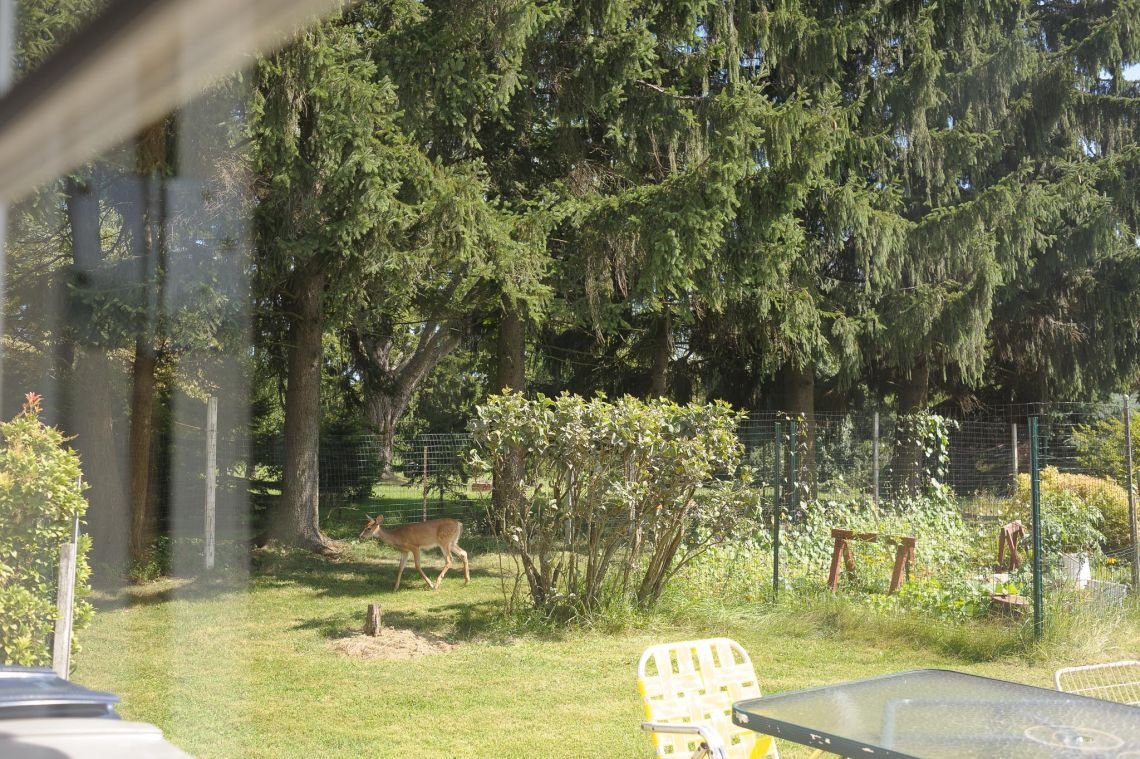 country living wexford pennsylvania elderly