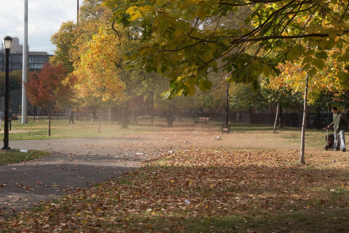 fall in mccarren park williamsburg