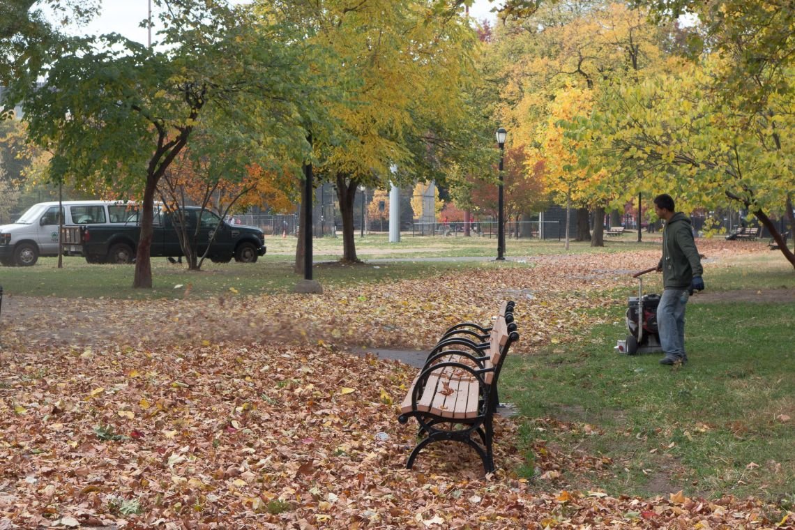 fall in mccarren park williamsburg
