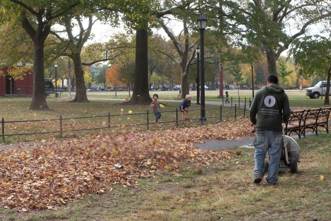 fall in mccarren park williamsburg