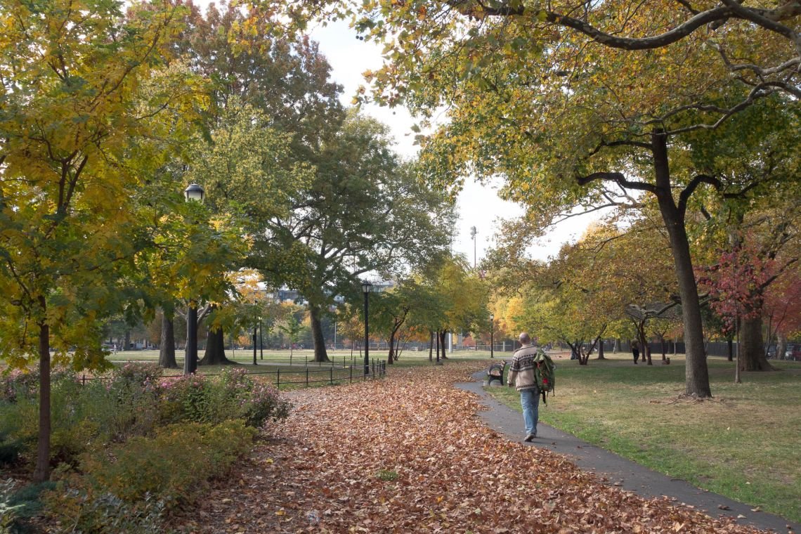 fall in mccarren park williamsburg