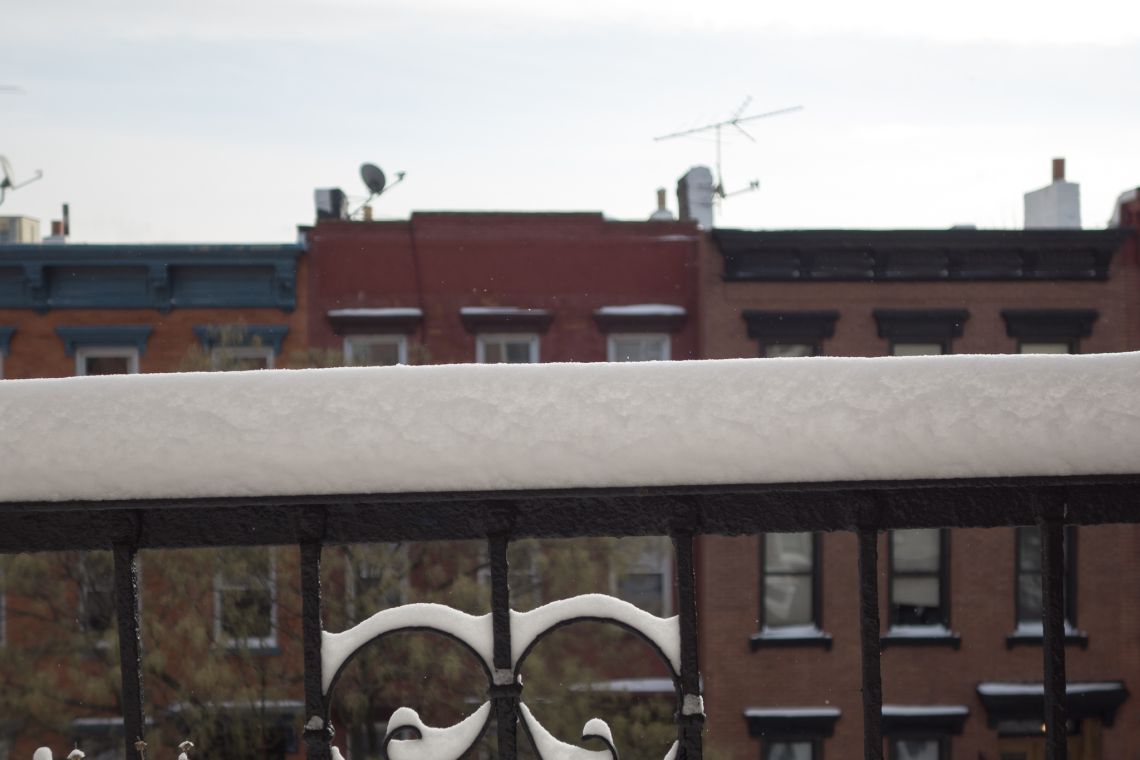 The view through my window