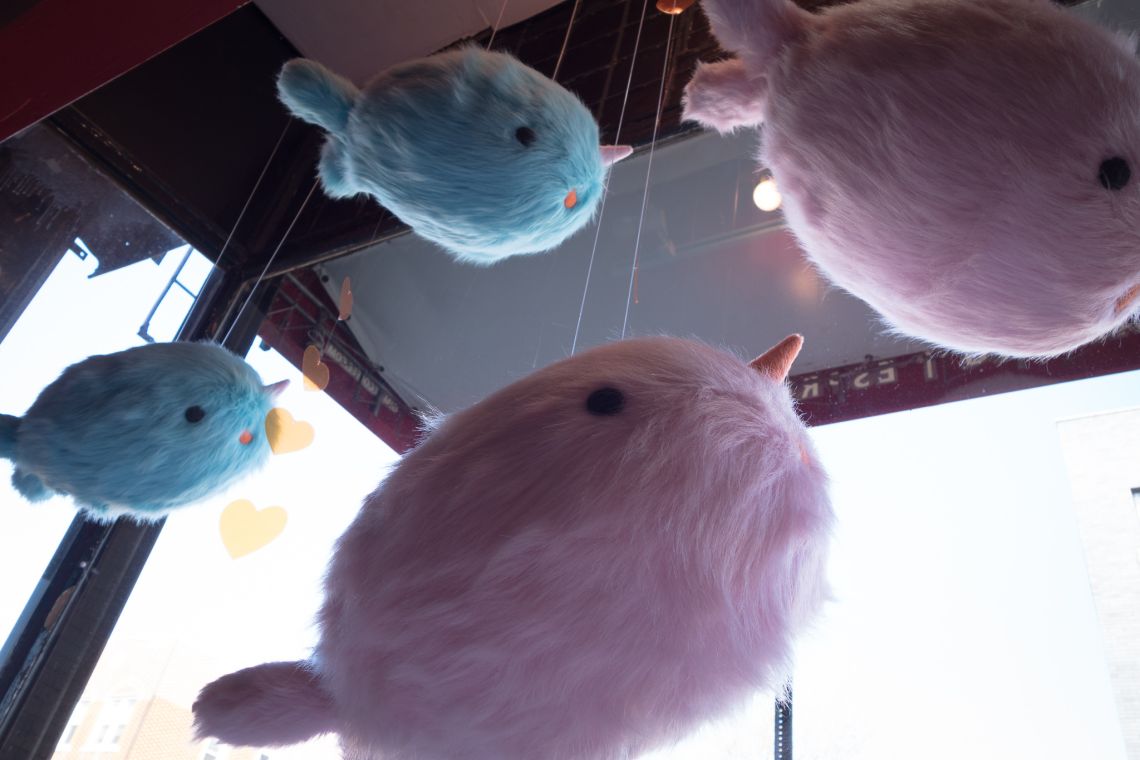 Narwhals, like clouds, in the storefront display.