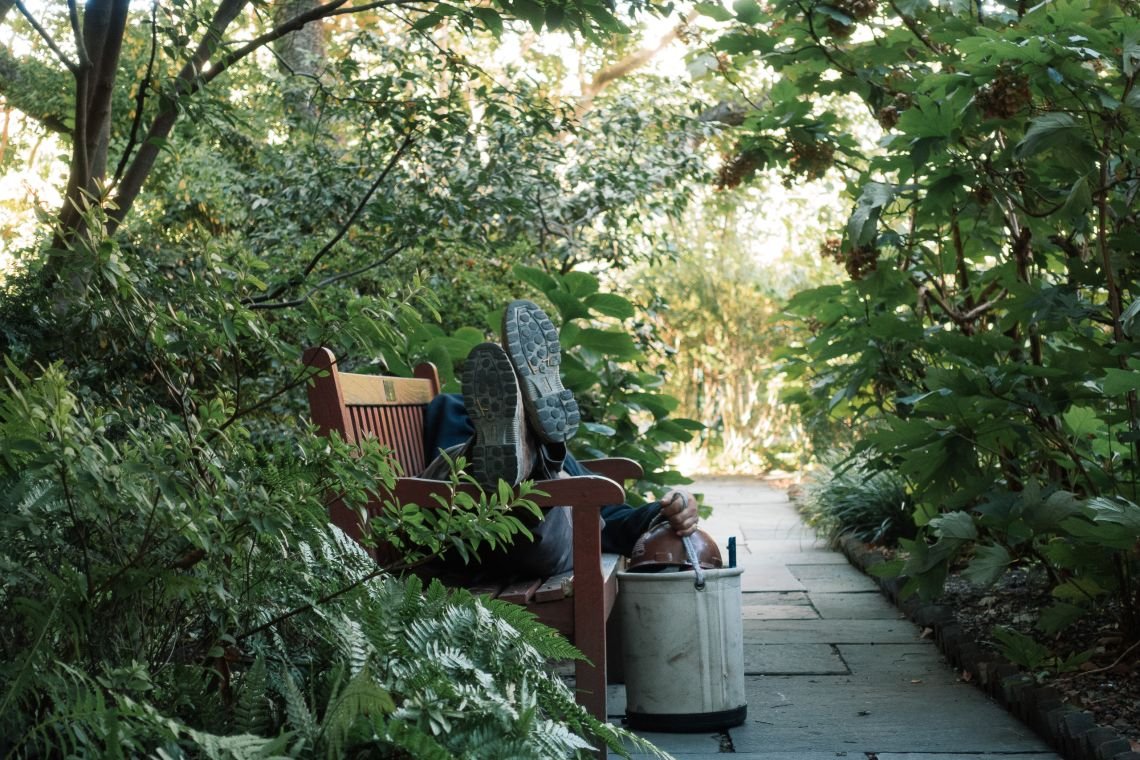 Sleeper in the Garden