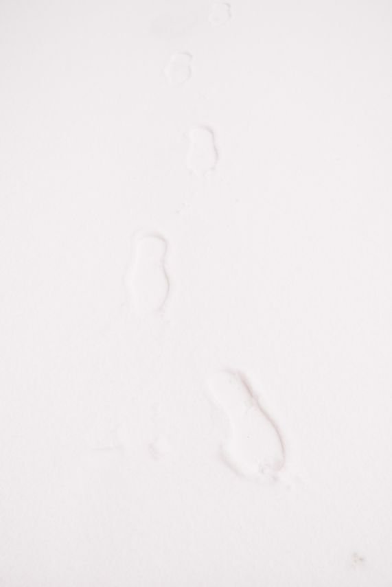 My footprints on virgin snow on Van Buren St
