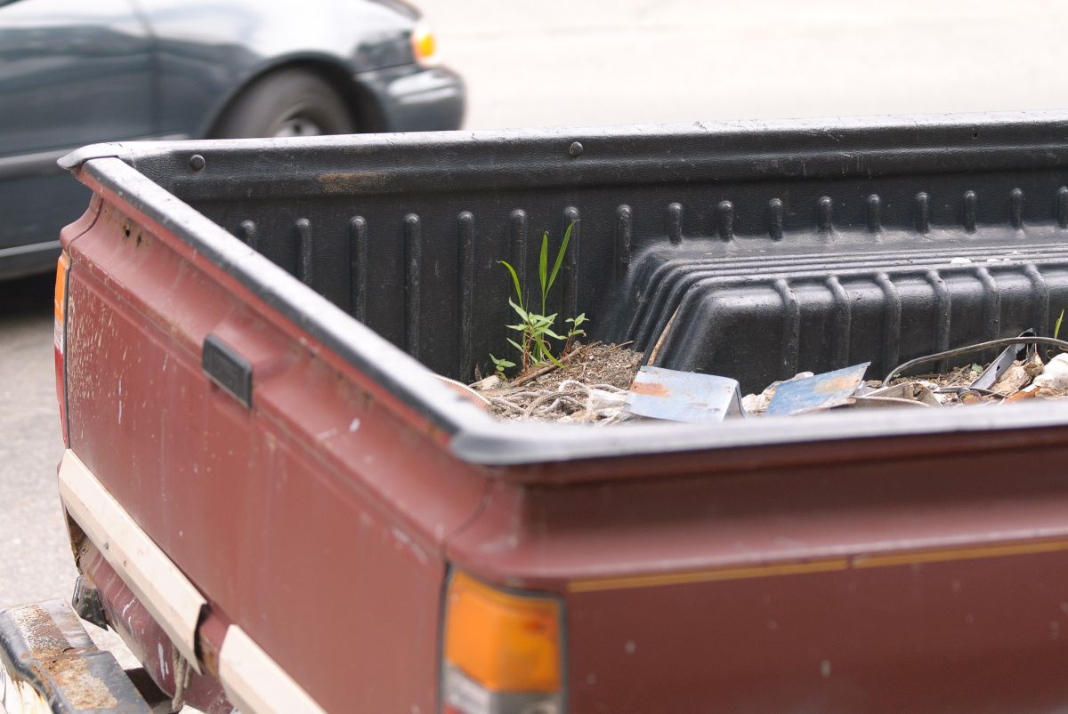 red pickup truck plant growing in bed pittsburgh
