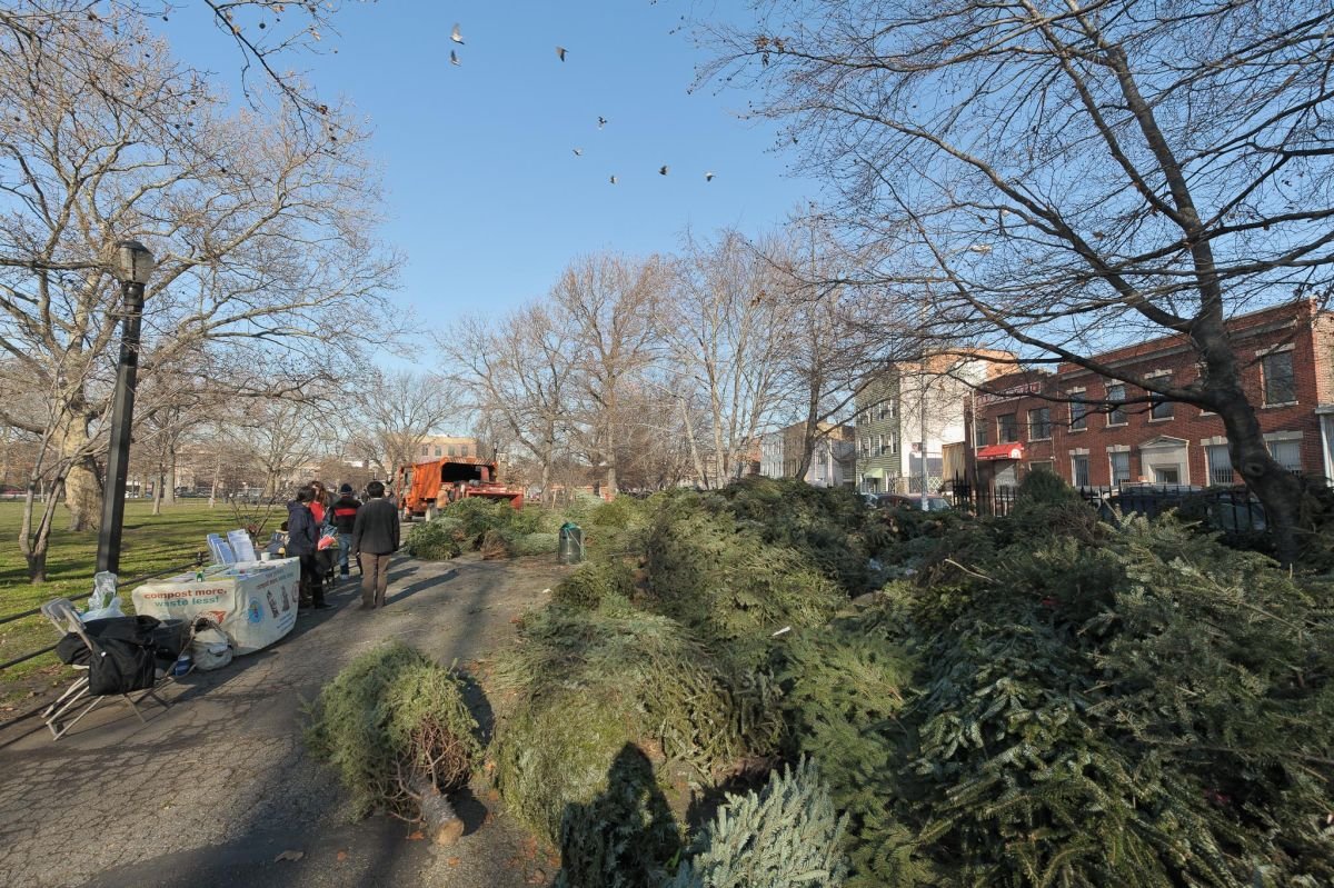 trees mccarren park wood chipper christmas