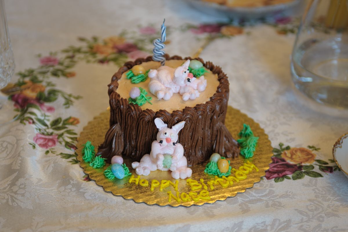 birthday cake of tree stump and rabbits