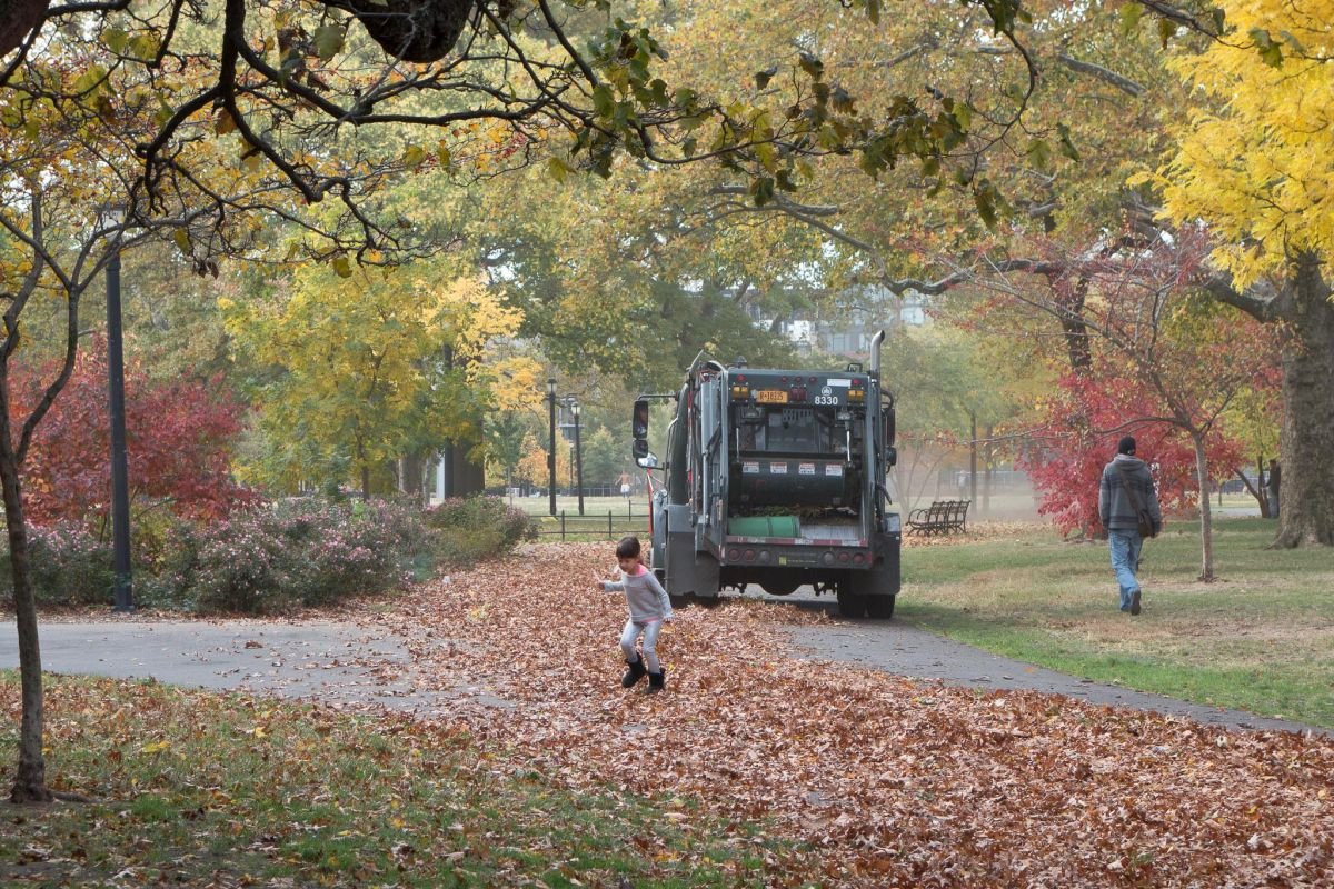 fall in mccarren park williamsburg