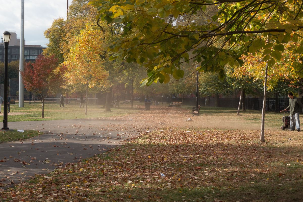 fall in mccarren park williamsburg
