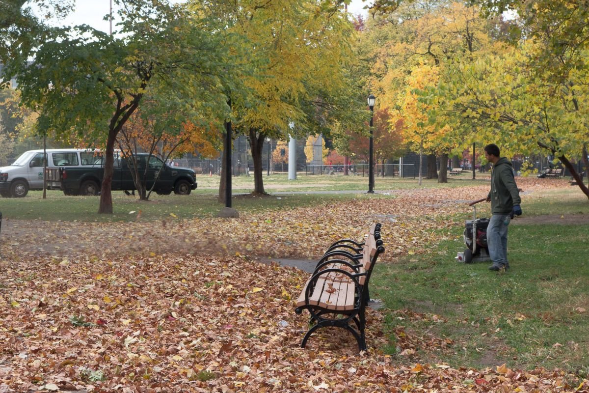 fall in mccarren park williamsburg